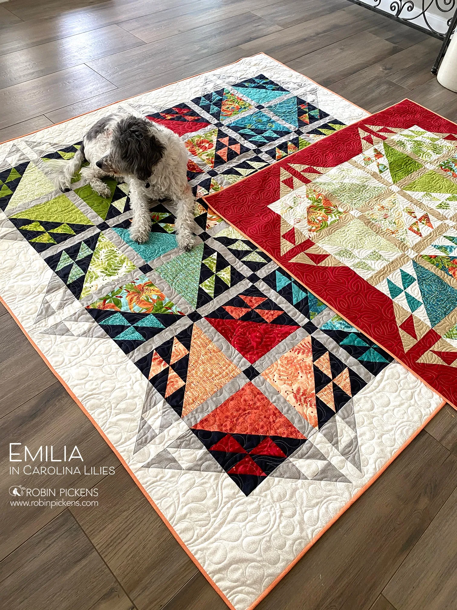 EMILIA Quilt Pattern (printed booklet) by Robin Pickens  76" or 55" square