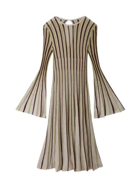 Lurex Rib Knit Midi Dress (Multicolor)